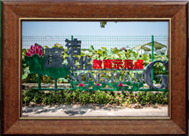 松江区廉洁文化教育示范点